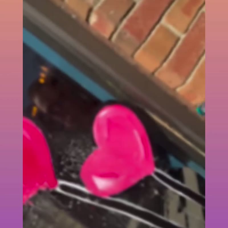 Behind-the-scenes story from a February project